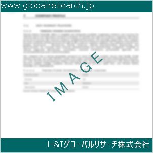 グローバルリサーチ調査資料のイメージ